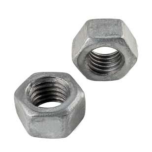 Hex Nut